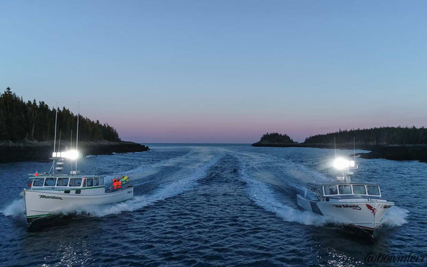 The Connection Between Energy Efficiency and LED Lights for Boats