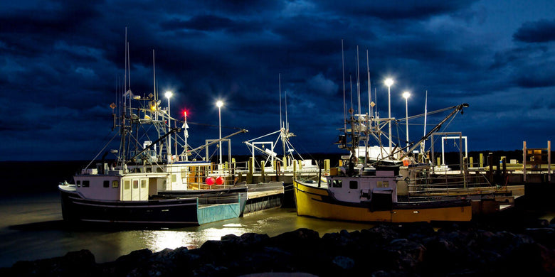 What Separates Marine LED Lights from Standard Boat Lighting?