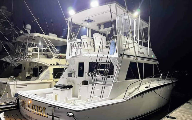 How the Right LED Fishing Lights Can Take Charter Trips to the Next Level
