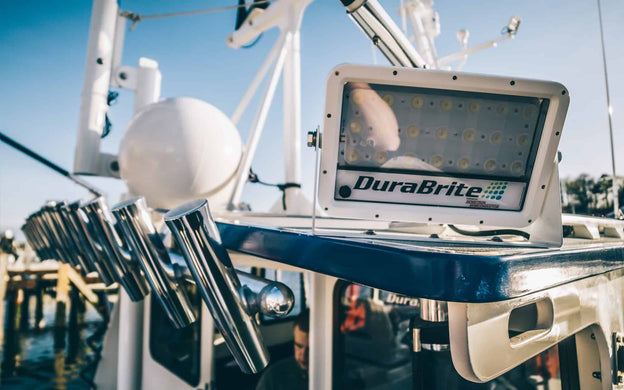 What You Need to Know About Electrostatic Discharge Protection for LEDs