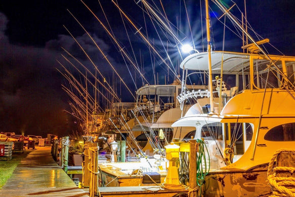 5 Things to Look for When Choosing the Best Marine Lights
