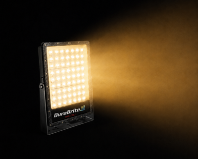 Amber Pro Spotlight