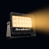 Amber Mini Spotlight