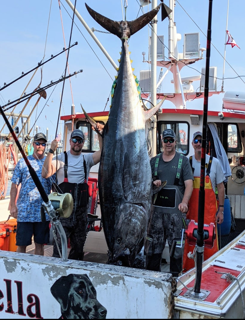 tuna