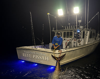 TUNA FISHING